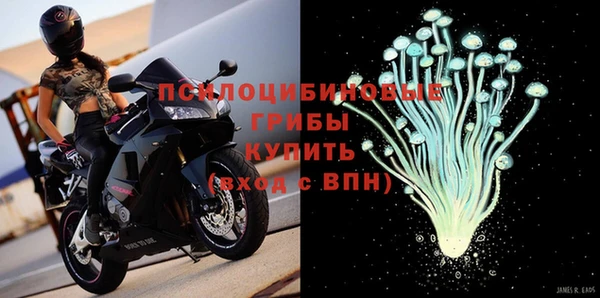 стаф Володарск