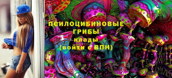 спиды Волосово