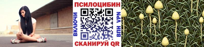 Псилоцибиновые грибы Cubensis  Выкса 